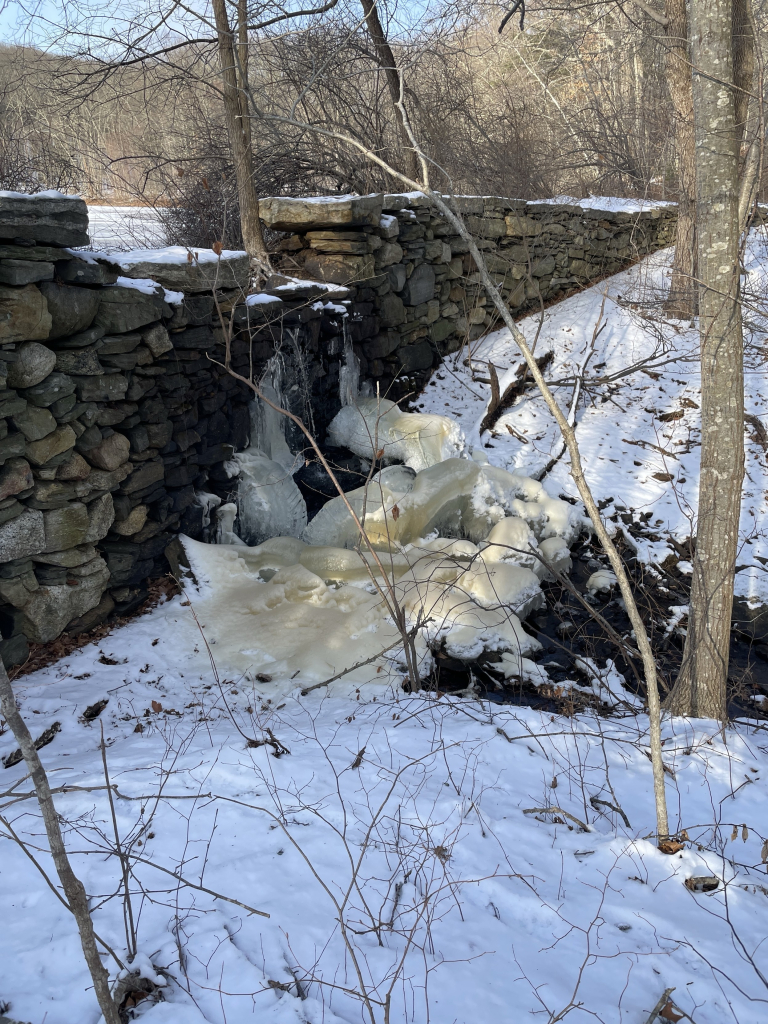 Side view of the dam from above. The north wall of the dam stretches into the forest and you can see a little of the pond through the gap where the stream has eroded the wall. Below this, the flowing water has created a luminous pile of lumpy ice. 