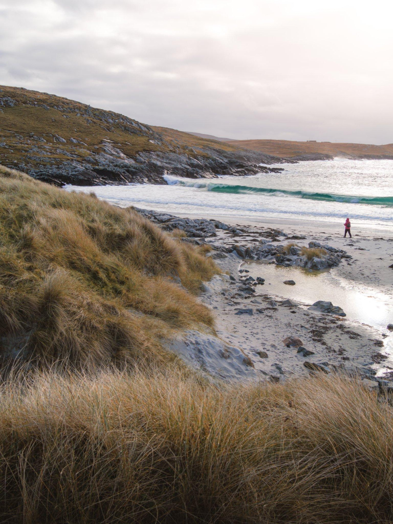 A beach contoured by yellow grasses and rocks. A wave hits the rocks in the background as a person with a bright red coat walks on the sand near the water.