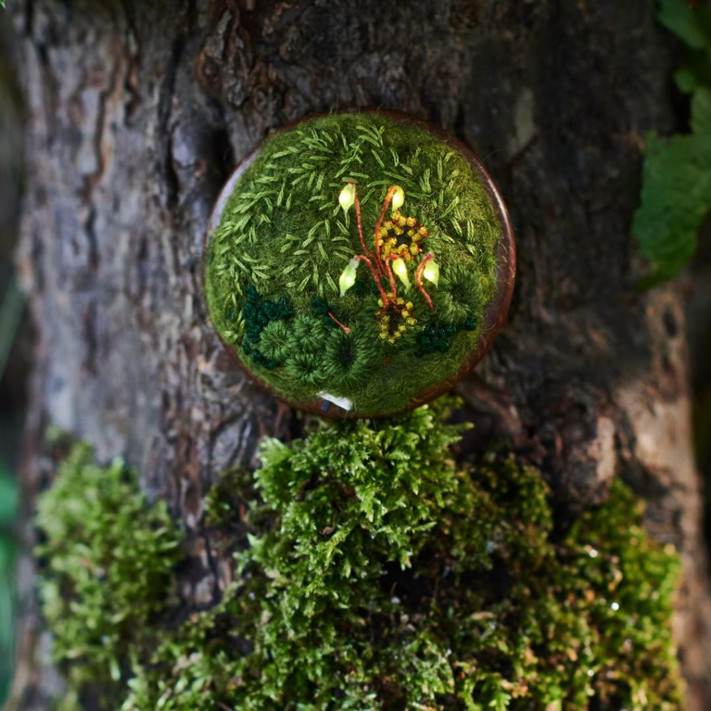 A small wooden circle filled with moss themed embroidery, from which five sporophytes grow. They are tiny lights. The embroidery is placed on a tree trunk covered with moss.