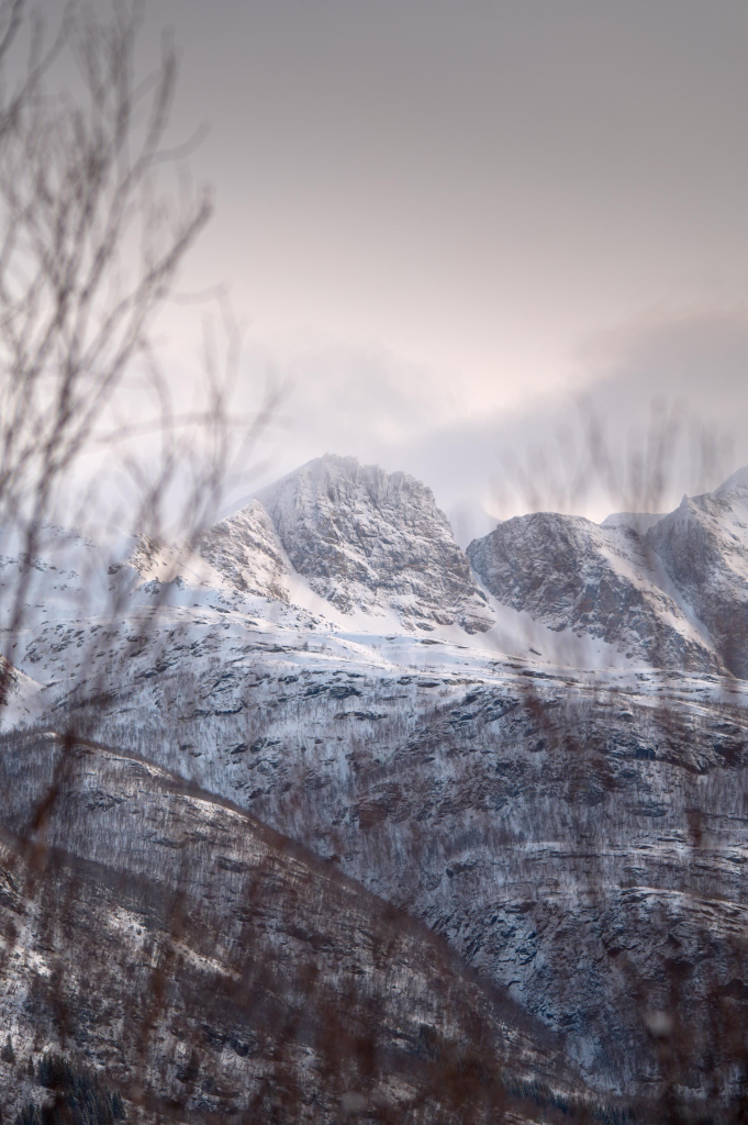 Can never remember the name of this mountain ridge. But it's in clear view all over Grovfjord. I love peering through a layer of birch branches for a sense of depth and distance.