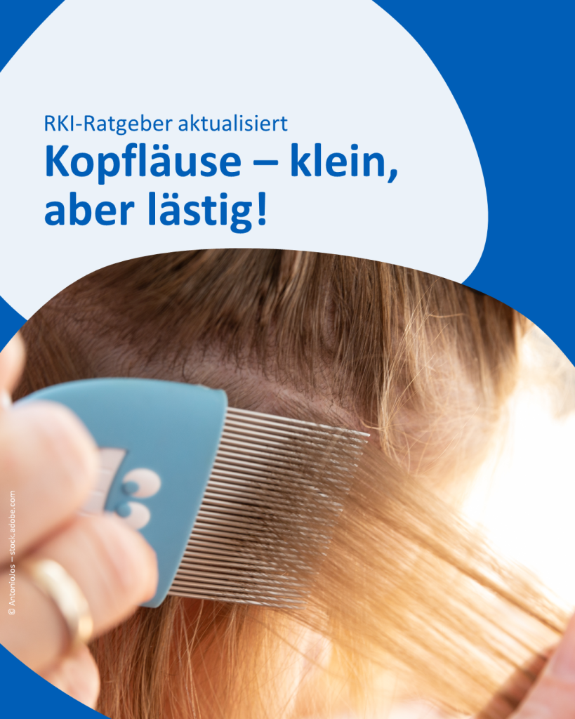 Nahaufnahme eines blonden Kindes, dessen Haare mit einem speziellen Läusekamm untersucht werden. Oben steht in blauer Schrift:

"RKI-Ratgeber aktualisiert 

Kopfläuse – klein, aber lästig!"