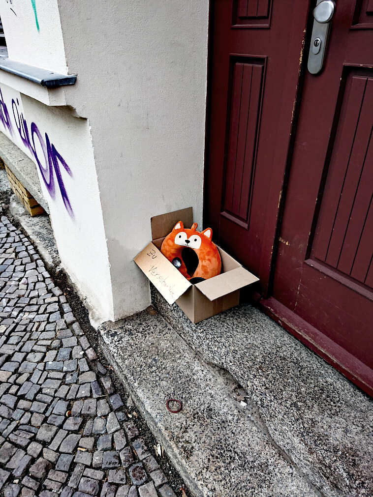 Eine etwa fahrradkorbgroße Pappkiste steht auf einer zweistufigen Treppe vor einer rotbraun lackierten Holztür. Der Blick fällt von schräg oben auf die Kiste. In der Kiste, deren vier Deckenklappen nach außen gefaltet sind, ist eine orangefarbige Nackenrolle mit Gesicht und Ohren zu sehen. Es könnte ein Fuchsgesicht sein. Auf der nach vorn fallenden Deckenklappe ist mit schwarz "ZU VERSCHENKEN" geschrieben. Auf der untersten Stufe der schwarz-grau mellierten Treppe liegt ein rotbrauner Haargummi. 

Der Bürgersteig von dem unten links noch eine Ecke auf dem Foto zu sehen ist, ist mit Kleinpflaster gepflastert. 

An der Hauswand neben der Kiste ist ein lila Grafitti-Schriftzug erkennbar.

#zuverschenken  #Verschenkekiste  #Give_away_box #Geschenkekiste