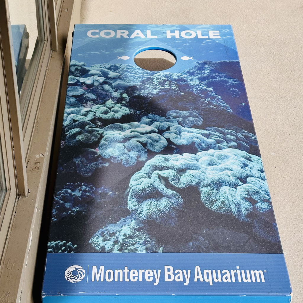 A corn hole game but with corals 