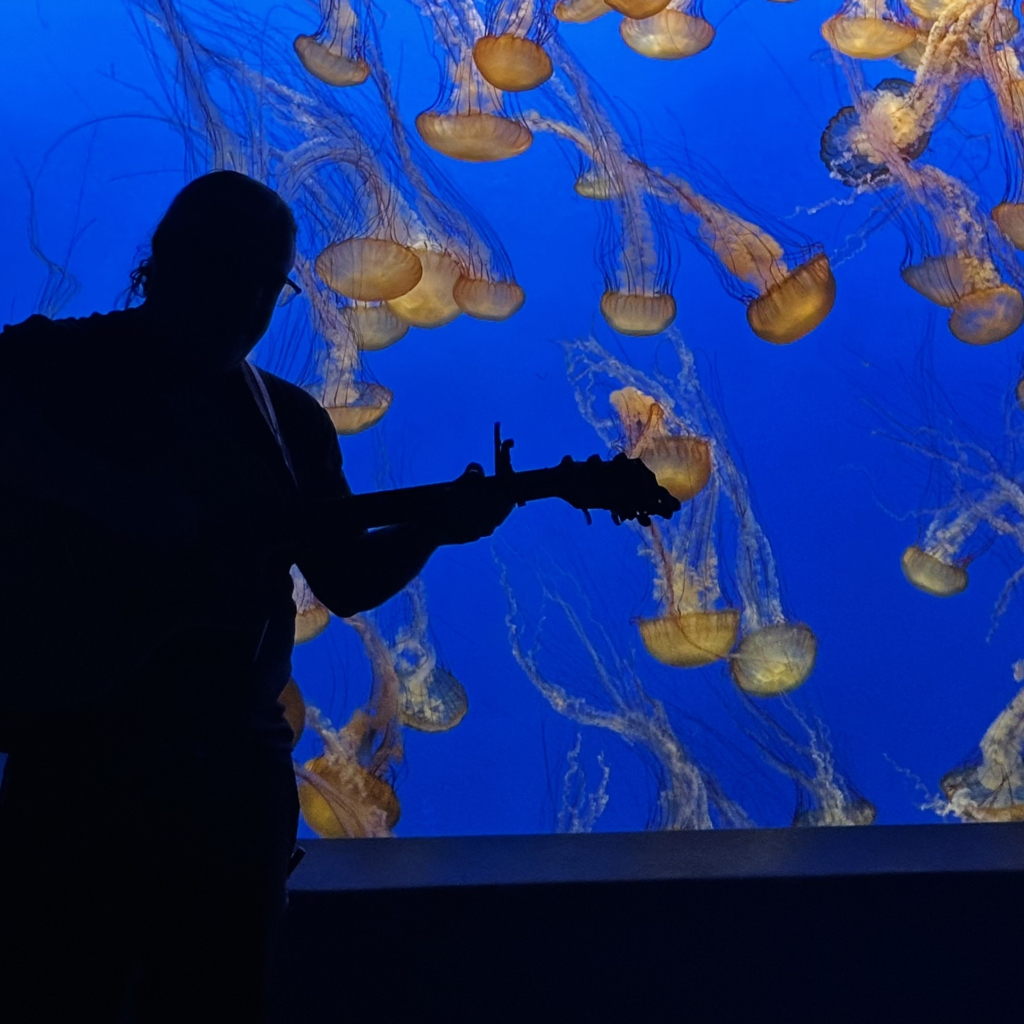  Photo of a silhouette of a guitar player against a background of beautiful sea nettles 