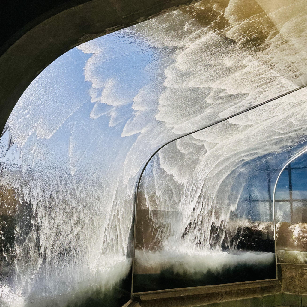 A large glass tunnel where waves crash on it. You can walk through it. At the Rocky Shore exhibit