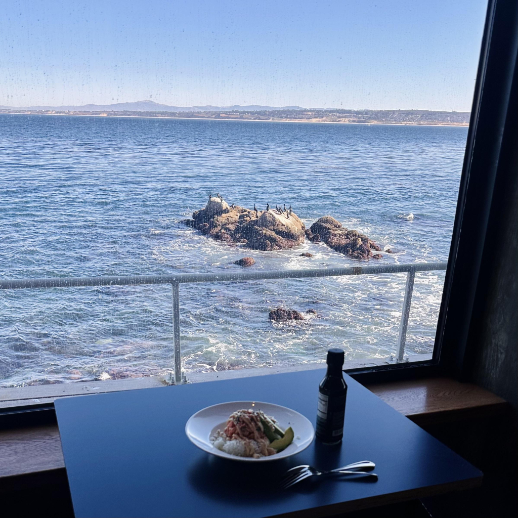 A photo of my lunch right by a window where you can see some rocks and cormorants on it 