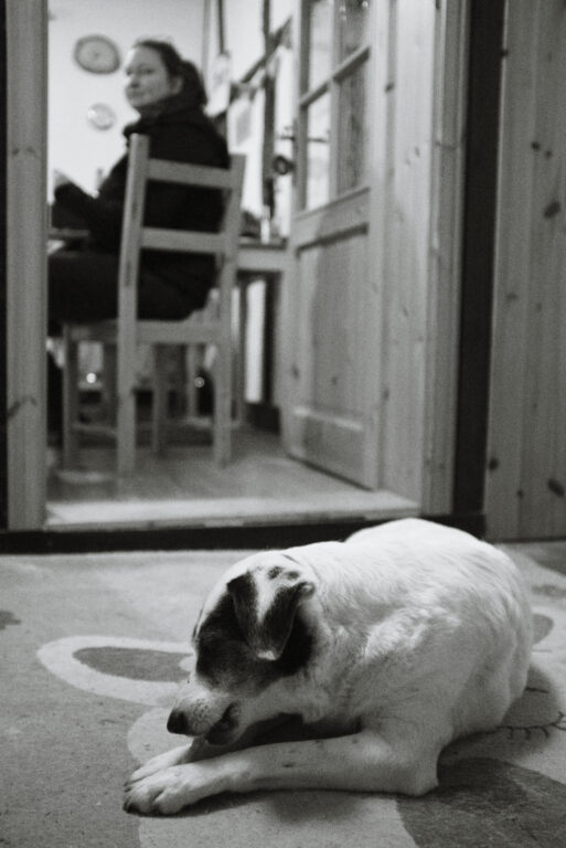 A black and white dog gnawing on a bone in the foreground, a doorway and a woman sitting on a chair in the background.