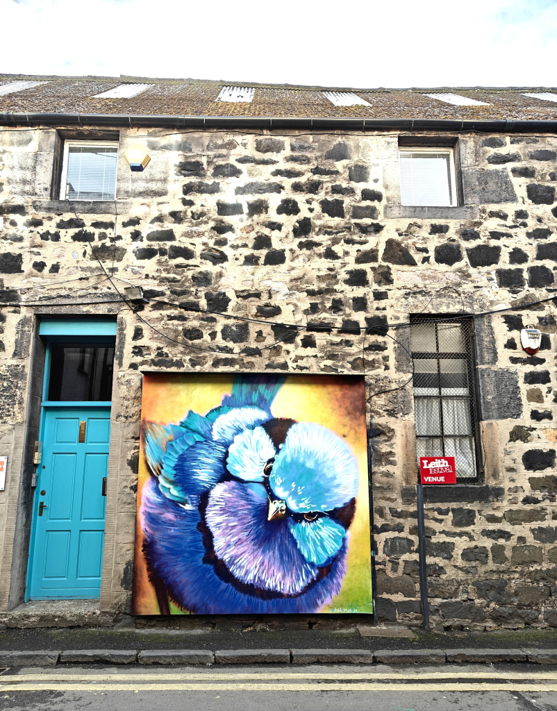 A colour photograph of a mural on a stone building in Leith. The mural occupies the space between a bright blue door and a narrow window. 

The mural shows a blue tit, it's head filling most of the mural. It is possible in a variety of shades of blue and is reminiscent of the flower of the violet. The background in the mural is in shadow of orange and yellow.