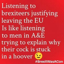 A red background displays white text that reads: "Listening to brexiteers justifying leaving the EU is like listening to men in A&E trying to explain why their cock is stuck in a hoover." A winking emoticon is below the text, followed by the hashtag #BrexitWasACon.