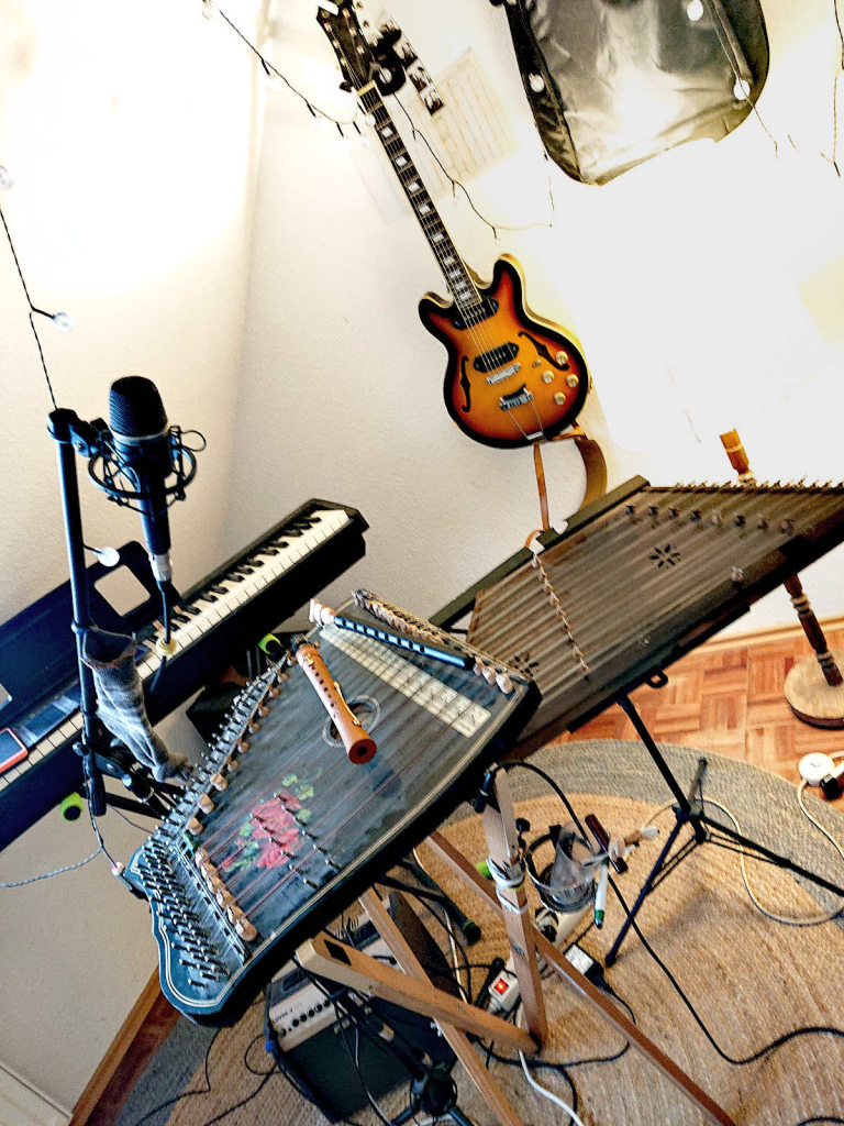 Foto of several musical instruments. In the foreground there is a zither that has been transformed to a hammered dulcimer. On it's strings are lying two flute like instruments: a Clarineau and a Duduk. Right to the Zither is a Santur. Behind the Santur on a white wall hangs an Electrical guitar (Casino Coupe by Epiphone) and there is also half an Electrical piano (Roland FP-10) sneaking in to the picture from the left. 

In the very front you can see a dynamical microphone (AEG D7) in a shockmount on a microphon stand. Beneath it all: cables, cables and an amplifier (Fishman Loudbox Mini).