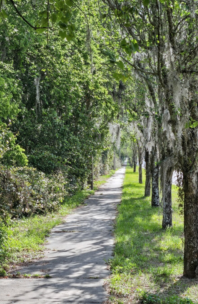 A very long, straight pedestrian sidewalk stretches far into the distance, lined by trees and heavy vegetation on both sides, vanishing beyond the horizon.