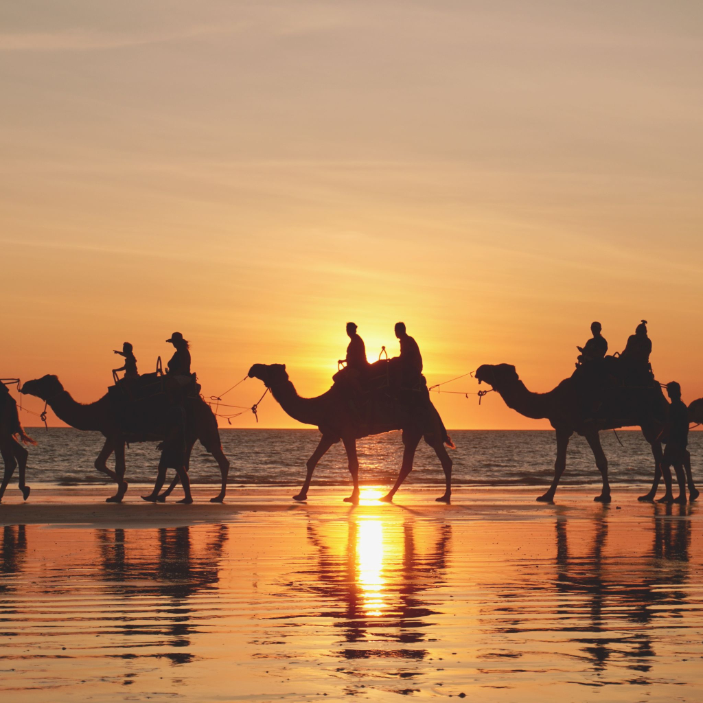 Silhouettes of people riding camels along a beach at sunset, with the ocean in the background and reflections on the wet sand.