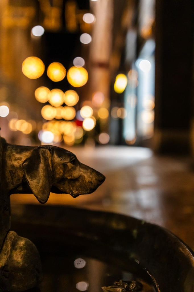 Hundekopf unten am Brunnen mit etwas Wasser darunter. Dahinter die Sögestraße mit Weihnachtsbeleuchtung. 