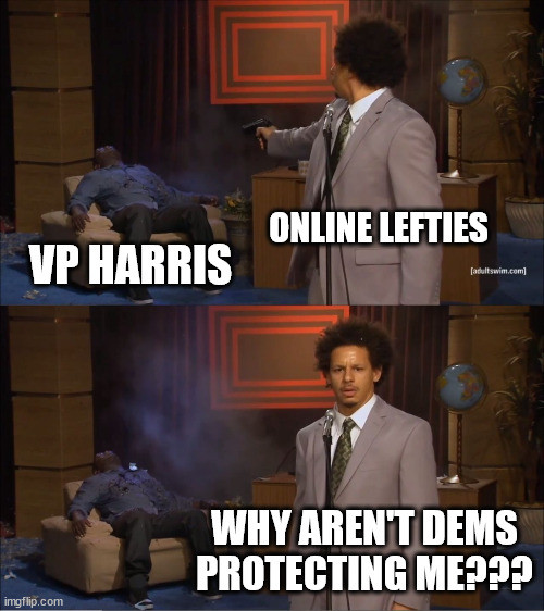 classic meme of dude shooting someone then acting like the problem he caused isn't his fault

It shows VP Harris as the victim of online lefties and then the online lefties asking "Why aren't Dems protecting me???"