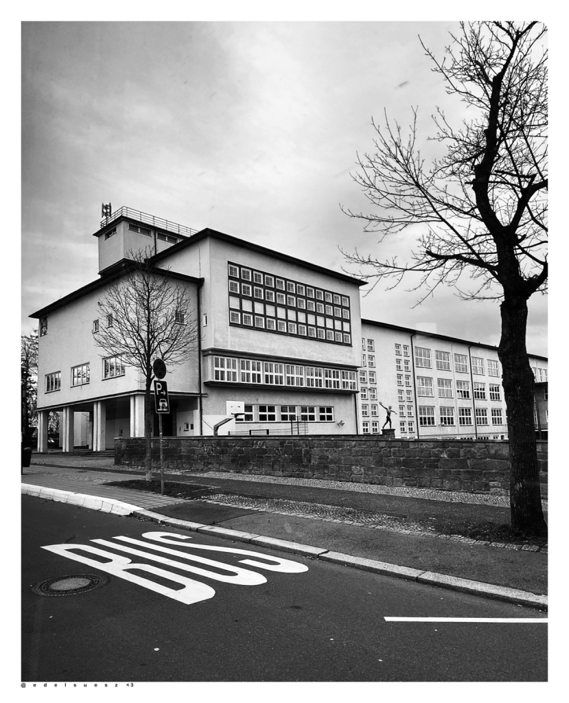 Schwarzweißfotografie: ein kastenförmiges Gebäude mit eckigen Anbauten und vielen kleinen quadratischen Fenstern im Bauhausstil, Flachdächer, rechts ein kahler dunkler Baum, davor die Straße mit großer weißer Fahrbahnmarkierung BUS in Großbuchstaben, grau weißer Himmel darüber 