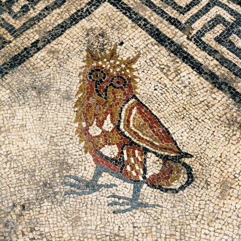 A detail of a mosaic showing an owl on a light background. The owl looks a bit deranged.