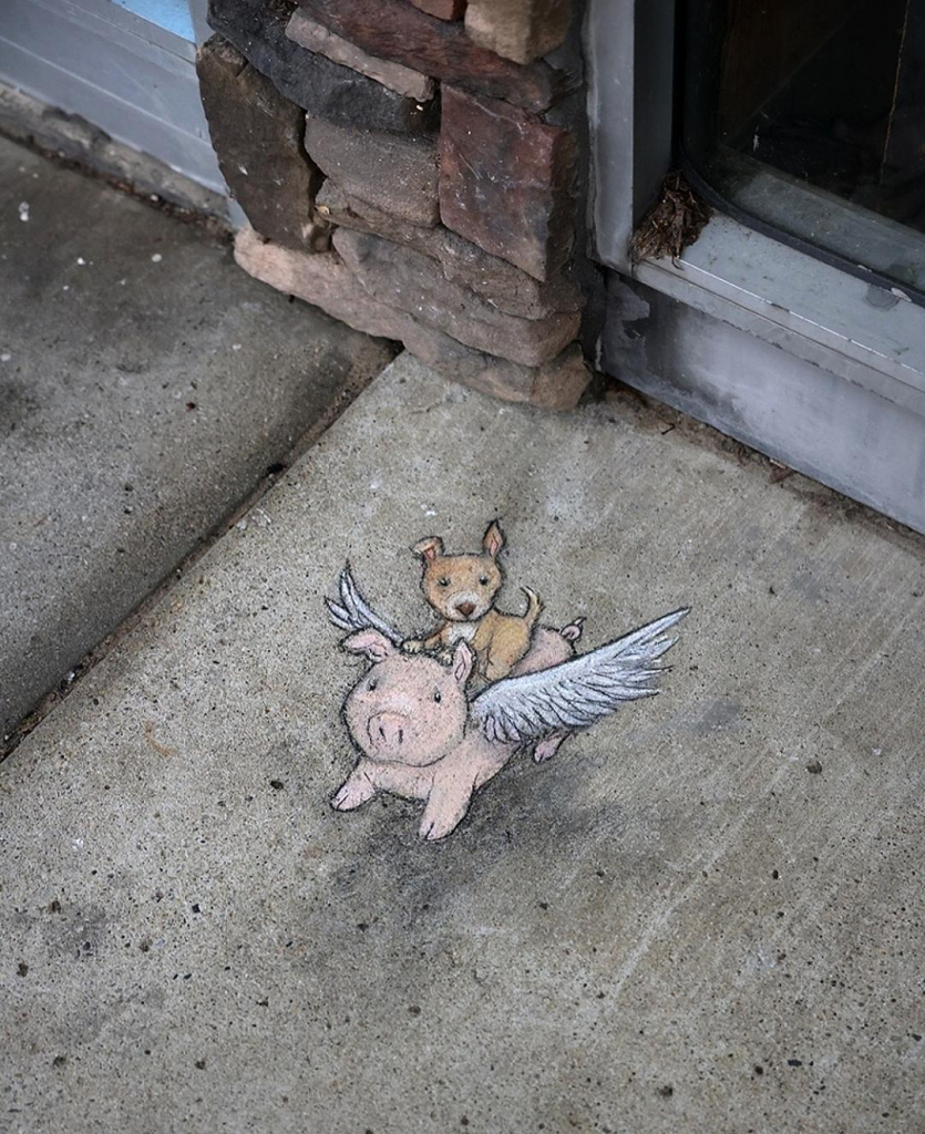 Streetart. A small pink pig with wings (called Philomena) and a small brown dog were drawn with chalk on a gray sidewalk. The dog sits on the pig's back and flies around with it. The two cute travelers look up at the viewer. Title: "Philomena has a strict no hitchhikers policy with many exceptions."