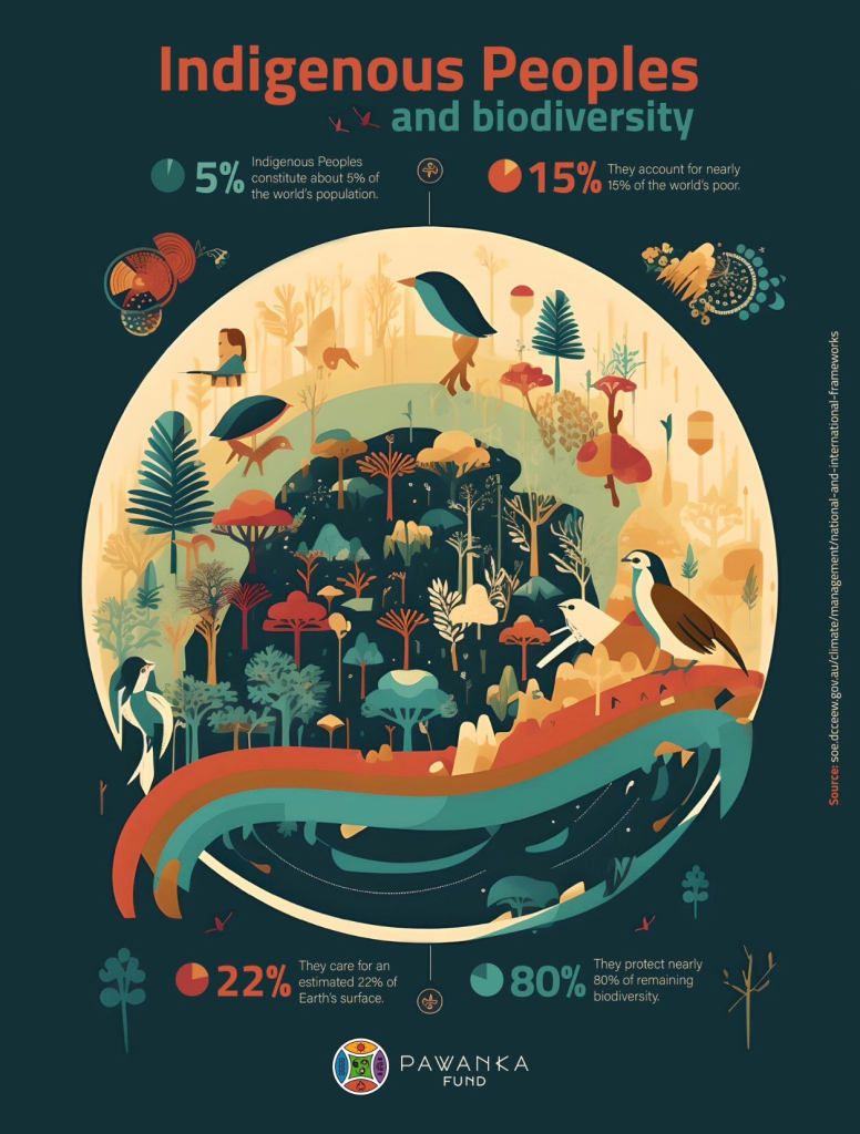 Pawankafund's latest infographic: "Indigenous Peoples and Biodiversity". They are the guardians of diverse ecosystems and habitats.