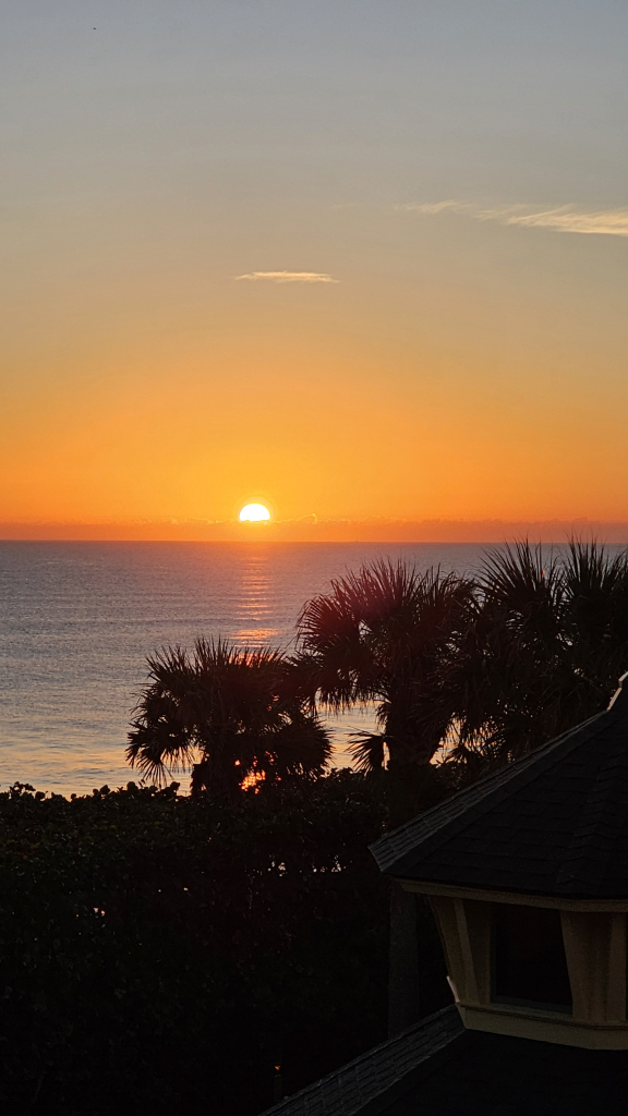 View from above shrubs and Palmetto trees where the tops appear at the bottom of the view. Beyond lies a blue-gray Atlantic ocean. In the distance, an orange-colored cloud layer through the middle of the view with the yellow sun in the center mostly risen. An orange semicircle appears around the sun, giving way to a blue sky above. A couple of thin horizontal clouds also are present.  