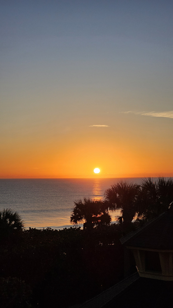 Vertical sunset view. Sun is just fully over the horizon, creating an orange glow in the sky and on the Atlantic ocean to the foreground. The foreground has partial view of waves breaking on the beach but is more filled with tops of Palmettos and shrubs. Sunlight is reflect along the short waves behind this vegetation putting them is silhouette. At the bottom right, in the darkness, is part of an architecturally decorative building top with small surround windows similar to those found on the East Coast of the U.S. in the 1900s.

Hi Tanya!