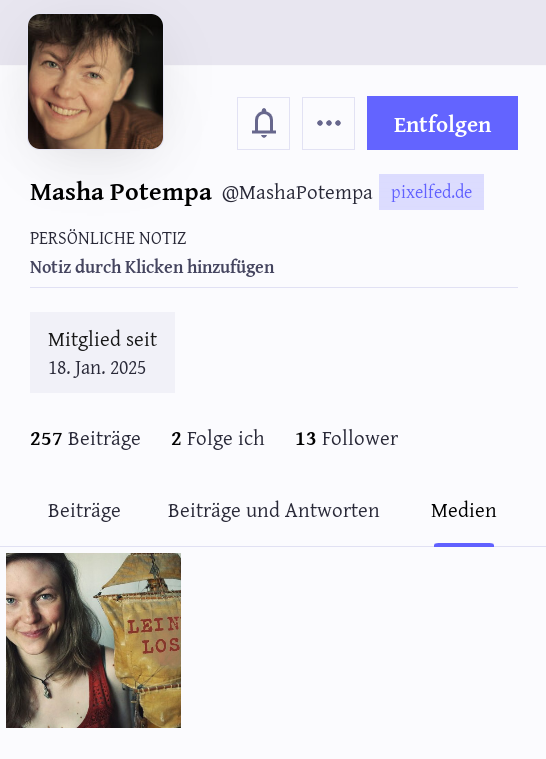 Wieder das Profil, diesmal mit Profilbild und einem Bild im "Medien"-Bereich.