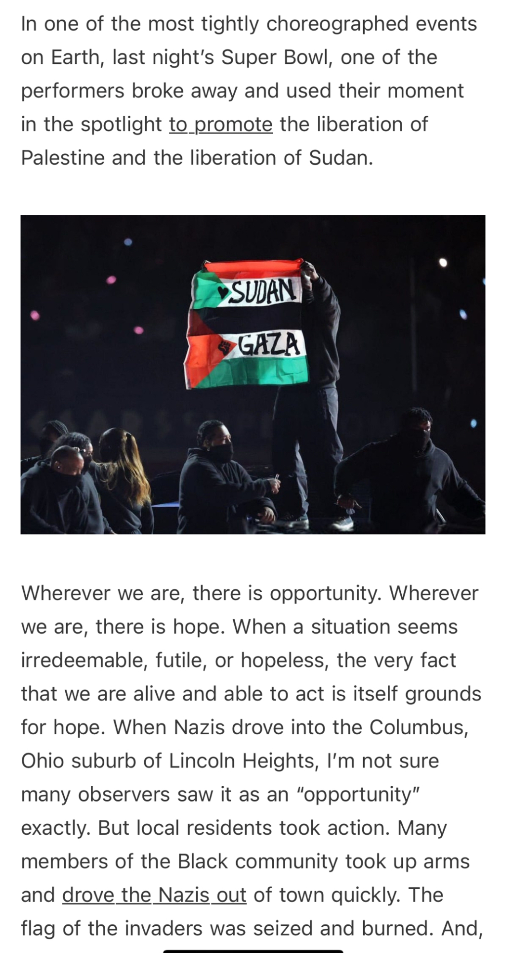 Protester at Super Bowl with Sudanese/Palestinian flag 