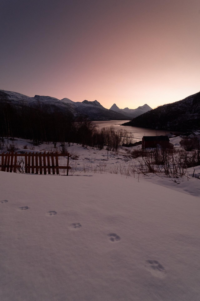 Paw prints make a track in the foreground, revealed in the snow by the first light across a cloudless sky. Purple and peach hues dominate the landscape. The village is called Balteskard.