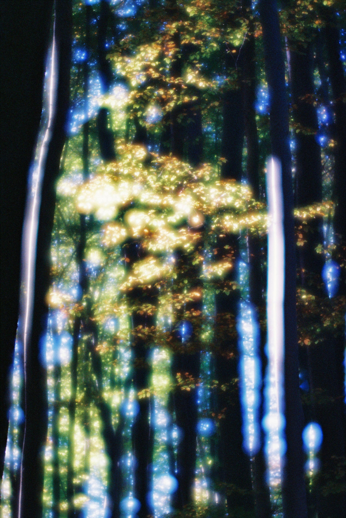 The image shows a dreamy, surreal forest scene with tall trees and glowing, bokeh-like light effects. The trunks of the trees are dark and vertical, contrasted by sparkling, colorful light that appears to filter through the leaves in vibrant blues, greens, and yellows. The overall aesthetic feels ethereal and magical, resembling a blurred or distorted lens effect that enhances the mystical atmosphere.