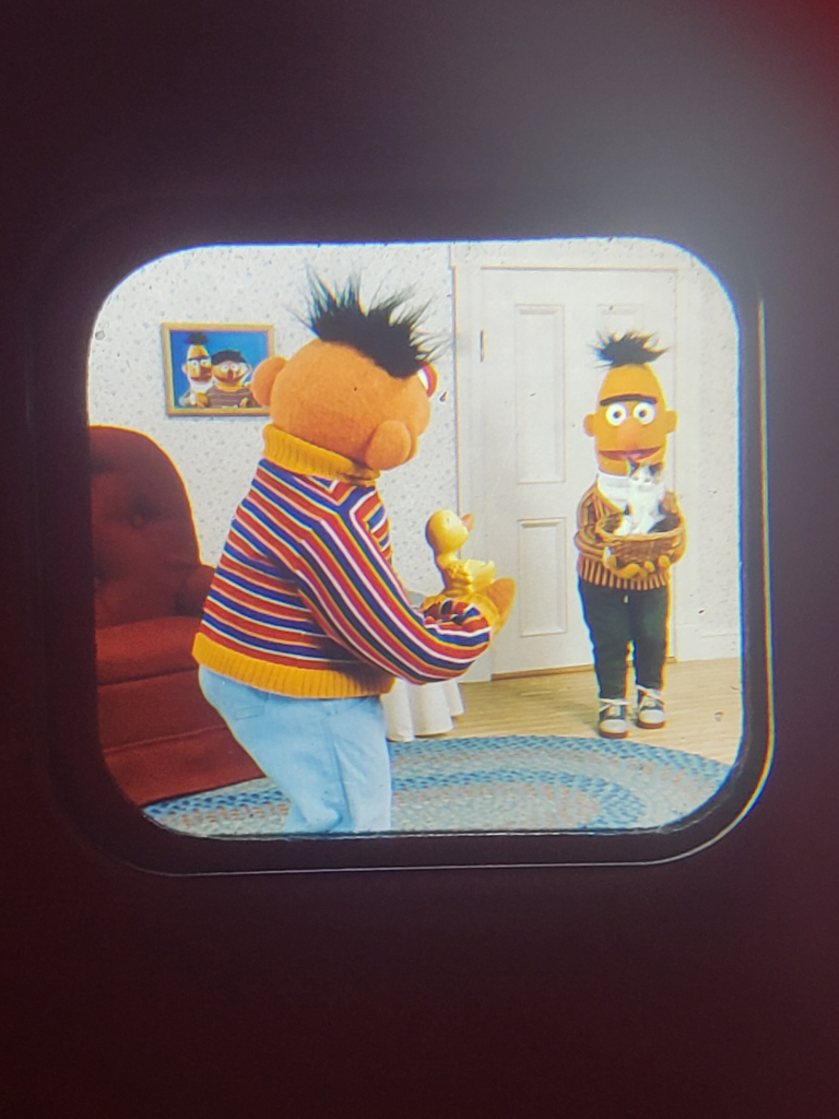 Bert stands holding the kitten in the basket. Ernie faces it, holding out his rubber ducky towards it. They're in their living room, with a framed photo of the two of them on the wall.