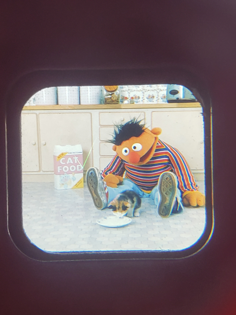 Ernie sits on the kitchen floor with a box of cat food beside him. The kitten sits between his legs sipping milk from a dish.