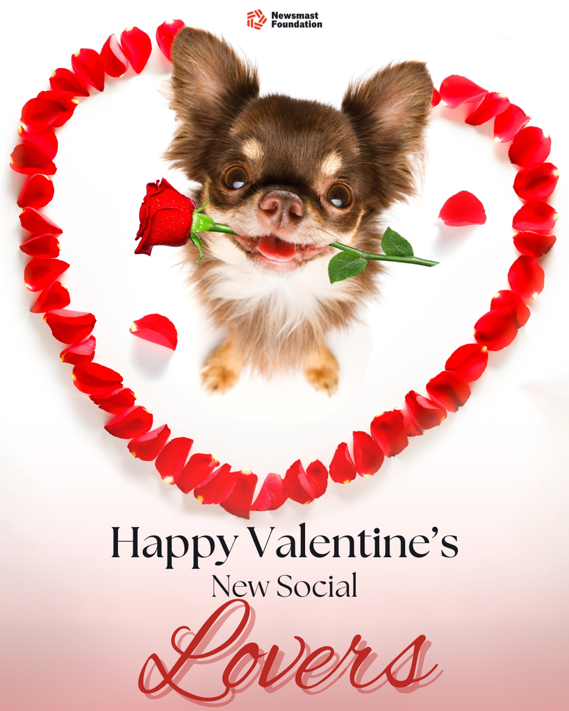 A chihuahua can be seen holding a rose in a heart of rose petals. The copy reads: Happy Valentine's New Social Lovers. The Newsmast Foundation logo can be seen at the top of the image.