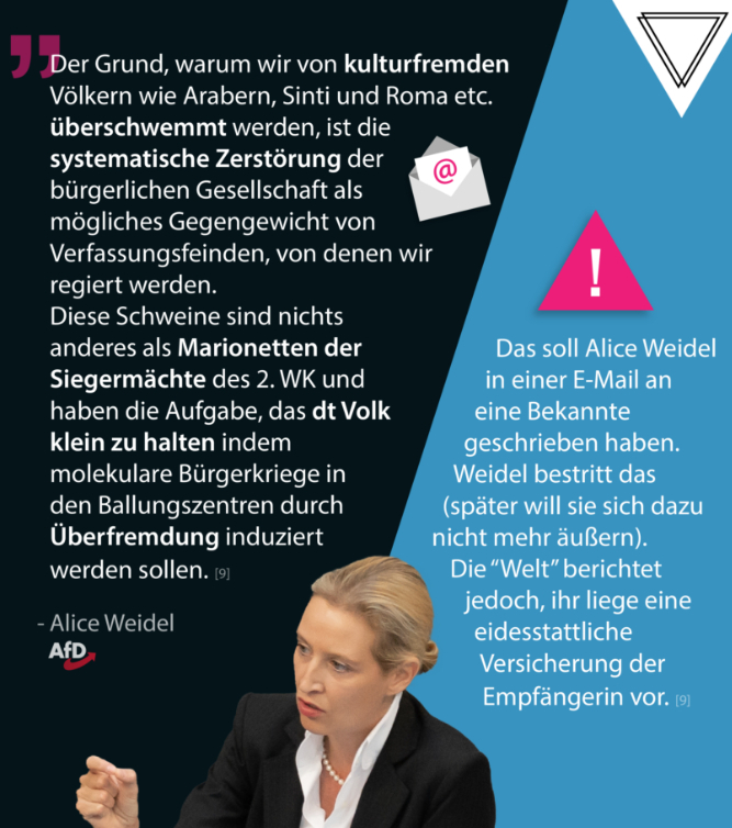 „Der Grund, warum wir von kulturfremden Völkern wie Arabern, Sinti und Roma etc. überschwemmt werden, ist die systematische Zerstörung der bürgerlichen Gesellschaft als mögliches Gegengewicht von Verfassungsfeinden, von denen wir regiert werden. Diese Schweine sind nichts anderes als Marionetten der Siegermächte des 2. WK und haben die Aufgabe, das dt Volk klein zu halten indem molekulare Bürgerkriege in den Ballungszentren durch Überfremdung induziert werden sollen. [sic]“

Quelle
Das soll aus einer E-Mail an eine Bekannte von Alice Weidel stammen. Weidel bestritt das, später will sie sich dazu nicht mehr äußern. Die „Welt“ berichtet jedoch, ihr liege eine eidesstattliche Versicherung der Empfängerin vor.