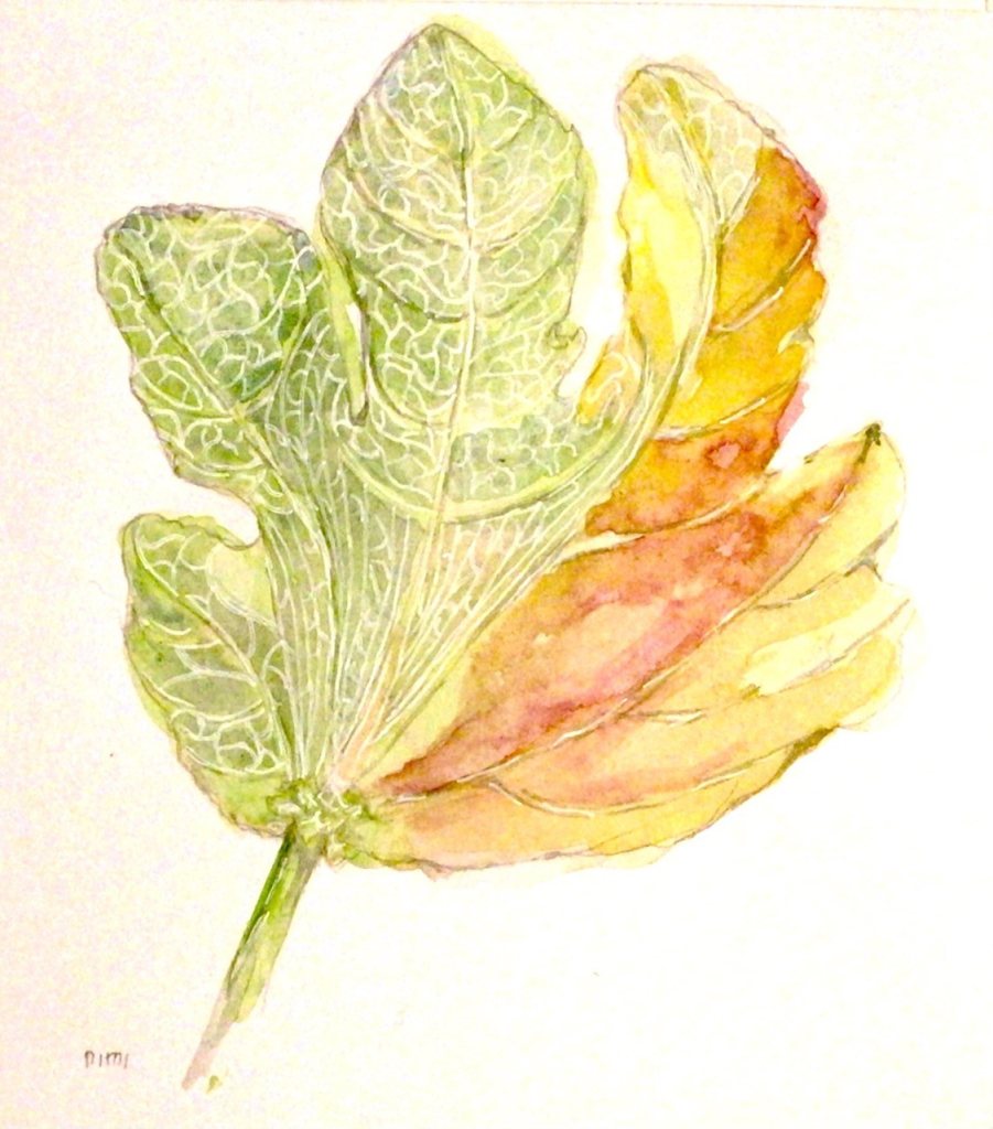 Aquarell. Ink. Ein Blatt, in der Form ähnlich eines Feigenblattes. Der rechte Teil ist in gelb-orange-rot, ineinander verlaufend gehalten. Der linke Teil des Blattes in gelb-Grüntönen. Im grünen Blattteil befinden sich verteilt kleine weiße Blattadern.