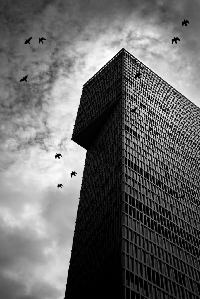 black and white. portrait fotmat. classic skyscraper lookup with dramatic sky and birds flying past the facade.