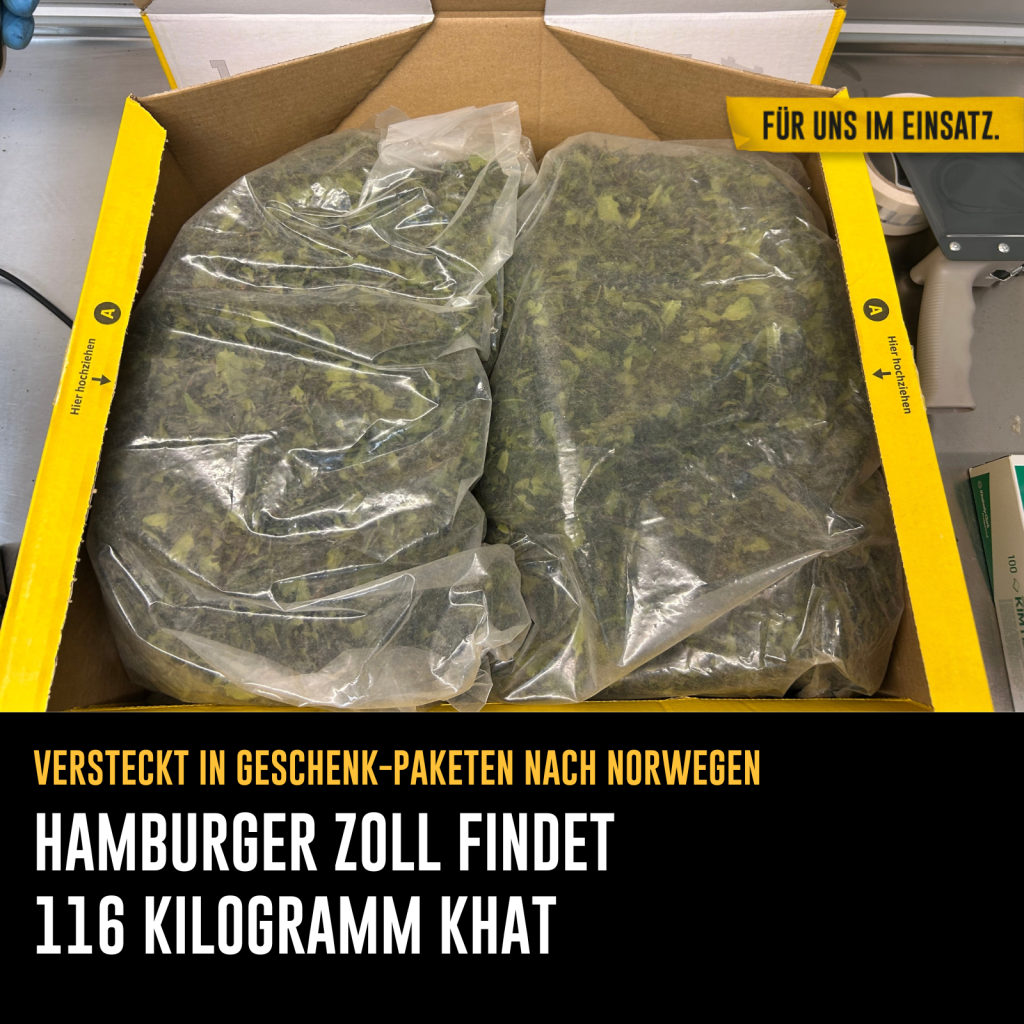 Foto eines geöffneten Pakets in dem sich zwei durchsichtige Tüten grünes Khat befinden.

Text:Versteckt in Geschenk-Paketen nach Norwegen - Hamburger Zoll findet 116 Kilogramm Khat