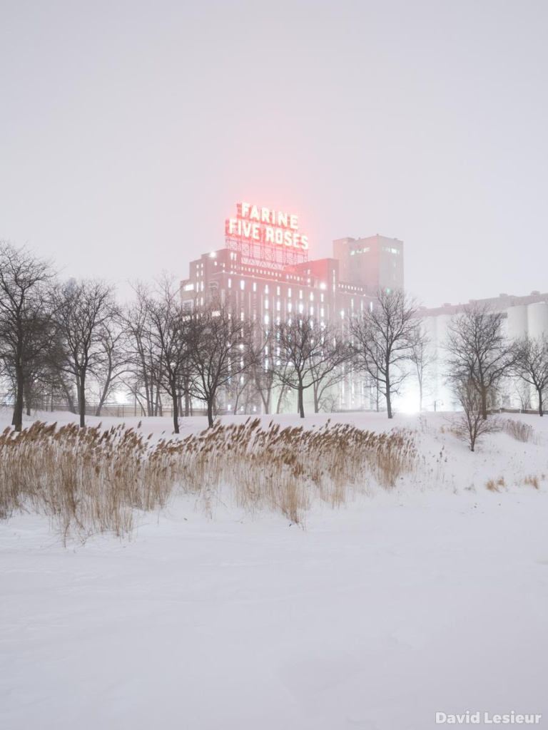 Par un soir d'hiver, le célèbre néon Farine Five Roses produit un halo rougâtre dans la poudrerie. Tout le paysage semble avoir été enfariné.