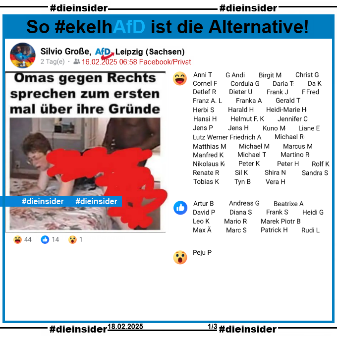 Silvio Große von der AfD Leipzig teilt ein Bild auf dem man zensiert eine weiße ältere Frau auf dem Bett knieend sieht und dahinter ein schwarzer großer Mann steht. Dazu steht "Omas gegen Rechts sprechen zum ersten mal über ihre Gründe."

Auf Slide 1 zeigen wir die Namen der 44 Lach-Smileys, 14 Likes und 1 Überraschungs-Smiley.
