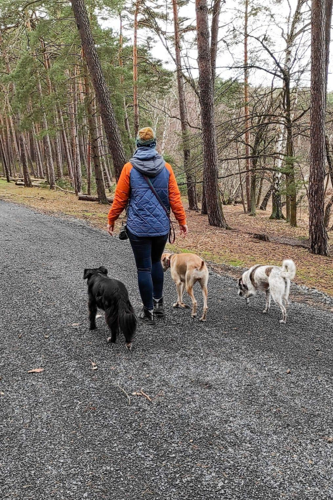 Woman with three dogs