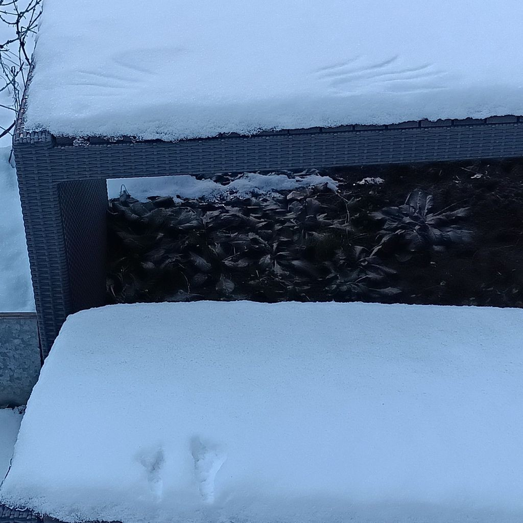 A bench and table covered in thick snow. On the bench there is a pair of crow footprints. On the table there are a pair of wing imprints.