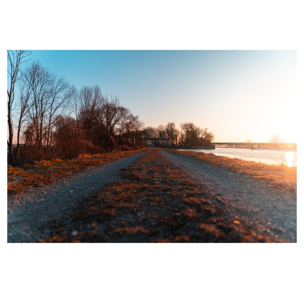 Ein Kiesweg verläuft parallel zu einem ruhigen Gewässer, umgeben von kahl gewordenen Bäumen und Sträuchern. Die Abendsonne wirft warmes Licht auf die Szenerie, während der Horizont mit sanften Farben gefüllt ist. Im Hintergrund sind Gebäude und eine Brücke angedeutet.