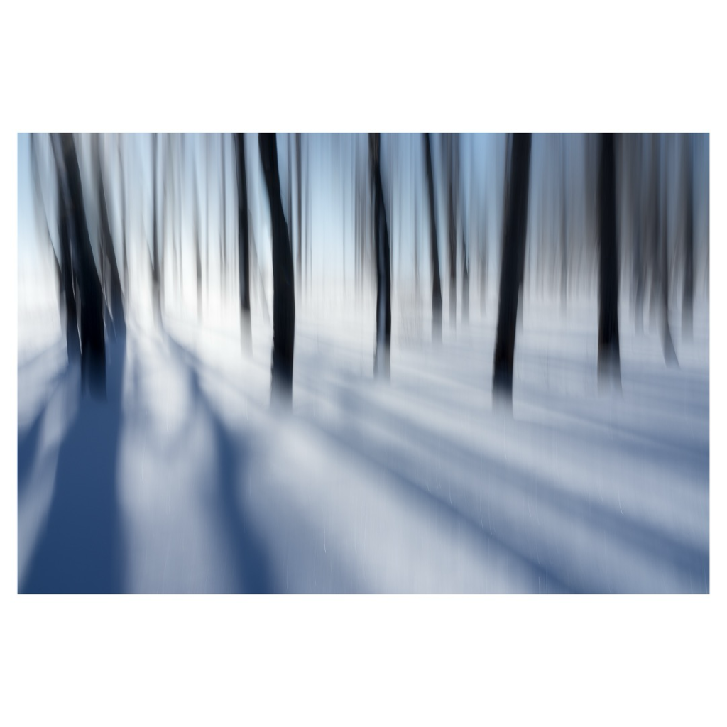 Intentional camera movement image of trees in snow