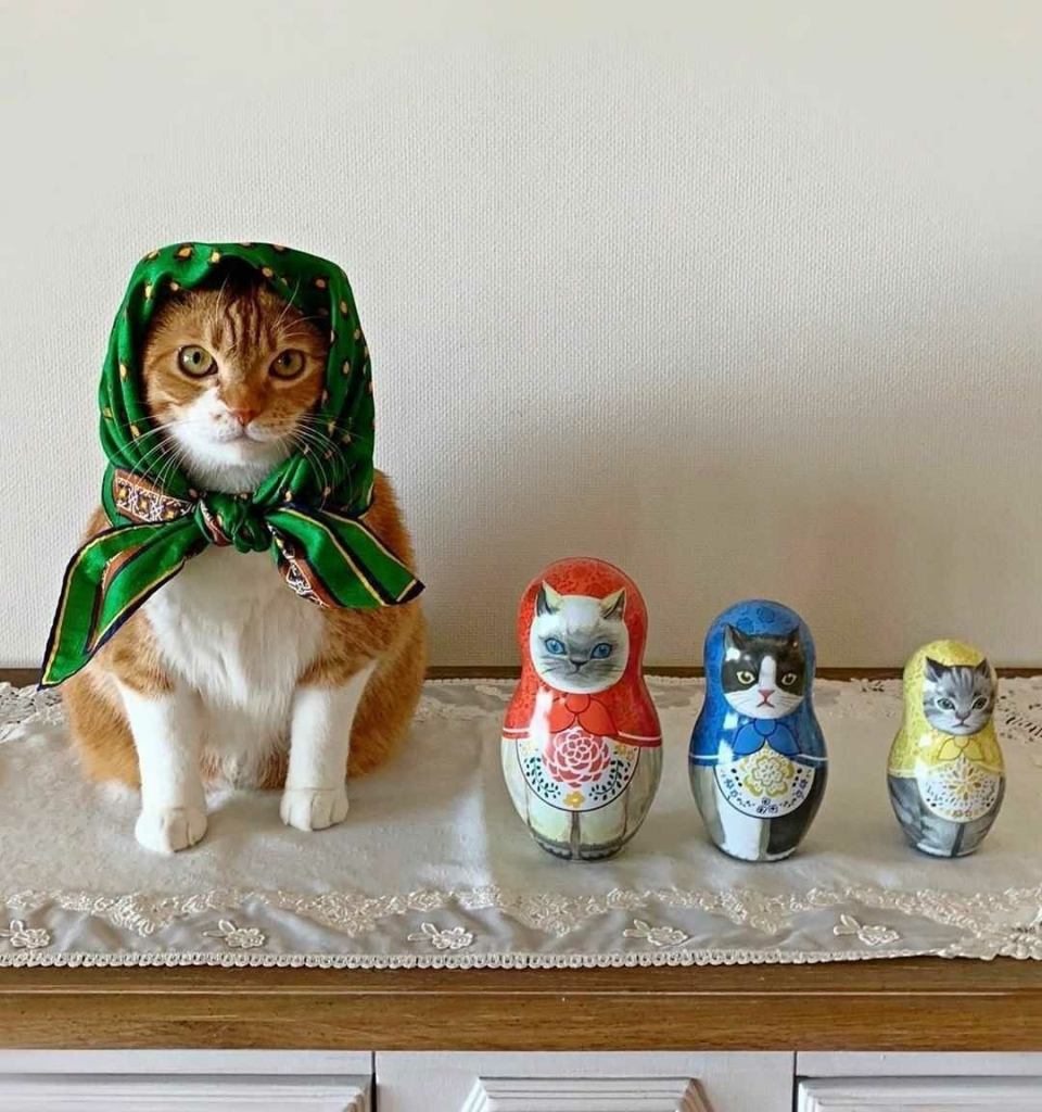 matrushka dolls, but the big one is a cat wearing a head scarf