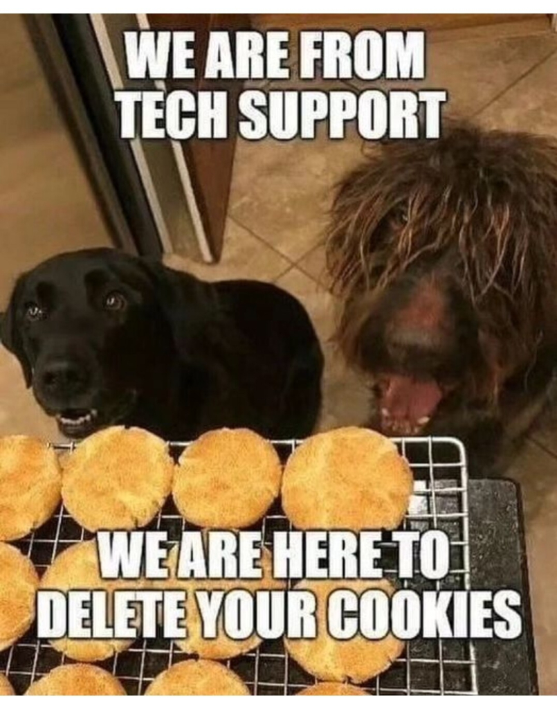 Photo of a black lab and a shaggy big dog looking up at an oven rack filled with baked cookies.

