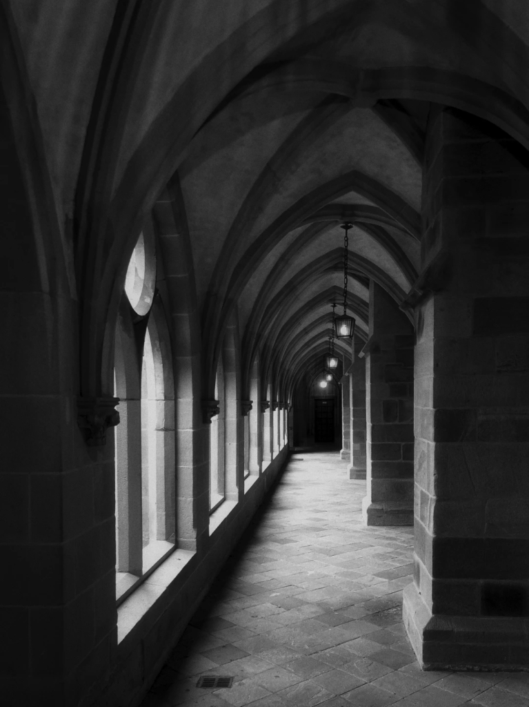 Das Schwarzweissfoto zeigt im Hochformat die Innenansicht des Kreuzgangs am Essener Dom, der Bischofskirche des Bistums Essen. Er verbindet die umliegenden Gebäude des ehemaligen Stiftes und umschließt in der Mitte (hier links) den quadratisch angelegten, auch Paradiesgarten genannten Klostergarten. 