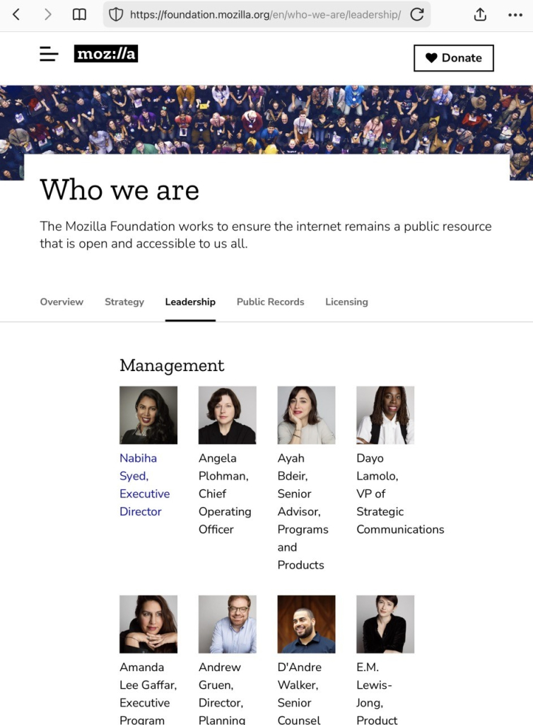 A screen cap of the Mozilla board. 

source https://foundation.mozilla.org/en/who-we-are/leadership/