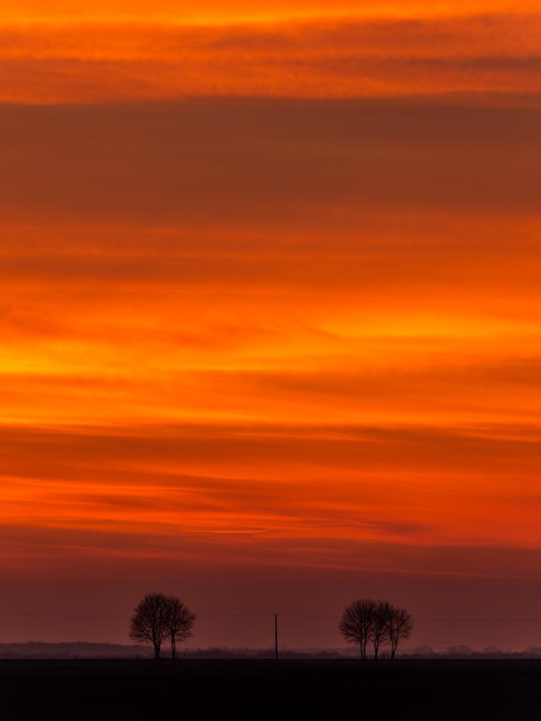 Hochformat. Sonnenuntergangsorangefarbener Himmel, Streifen. Am Horizont zwei Bäumchen. Vordergrund dunkel.