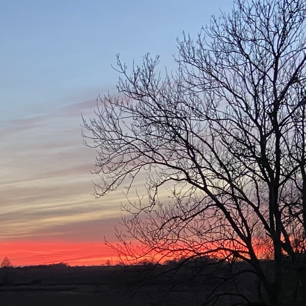 A square photo of the sunset. A bare tree in silhouette fills most of the right half; the bottom sixth of the frame is a dark band of ground with almost no distinguishing features. The star of the show is the sky which runs from a dusky blue at the top through a silver-gold-grey layer of high cloud changing suddenly to an intense fiery red near the horizon. Red doesn’t describe the colour correctly, but I don’t know what is better. Any sighted folks who have a better idea could suggest it in the replies. 