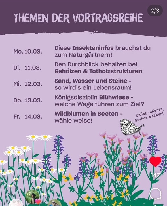 Das Bild ist eine Ankündigung für eine Vortragsreihe zum Thema Naturgarten. Der Hintergrund ist in einem hellen Lilaton gehalten. Im oberen Bereich steht in großen, dunkellila Buchstaben "THEMEN DER VORTRAGSREIHE". Darunter folgt eine Liste mit den einzelnen Vortragsterminen und -themen, jeweils mit Datum:

    Mo. 10.03.: "Diese Insekteninfos brauchst du zum Naturgärtnern!"
    Di. 11.03.: "Den Durchblick behalten bei Gehölzen & Totholzstrukturen"
    Mi. 12.03.: "Sand, Wasser und Steine - so wird's ein Lebensraum!"
    Do. 13.03.: "Königsdisziplin Blühwiese - welche Wege führen zum Ziel?"
    Fr. 14.03.: "Wildblumen in Beeten - wähle weise!"

Rechts neben den letzten beiden Punkten befindet sich der Hinweis "Online zuhören, Offline machen!".

Der untere Teil des Bildes ist mit einer bunten Illustration von verschiedenen Wildblumen geschmückt, darunter Margeriten, Lavendel und andere blühende Pflanzen. Eine stilisierte Schmetterlingsgrafik ist ebenfalls zu sehen.

Text bereitgestellt by altbot