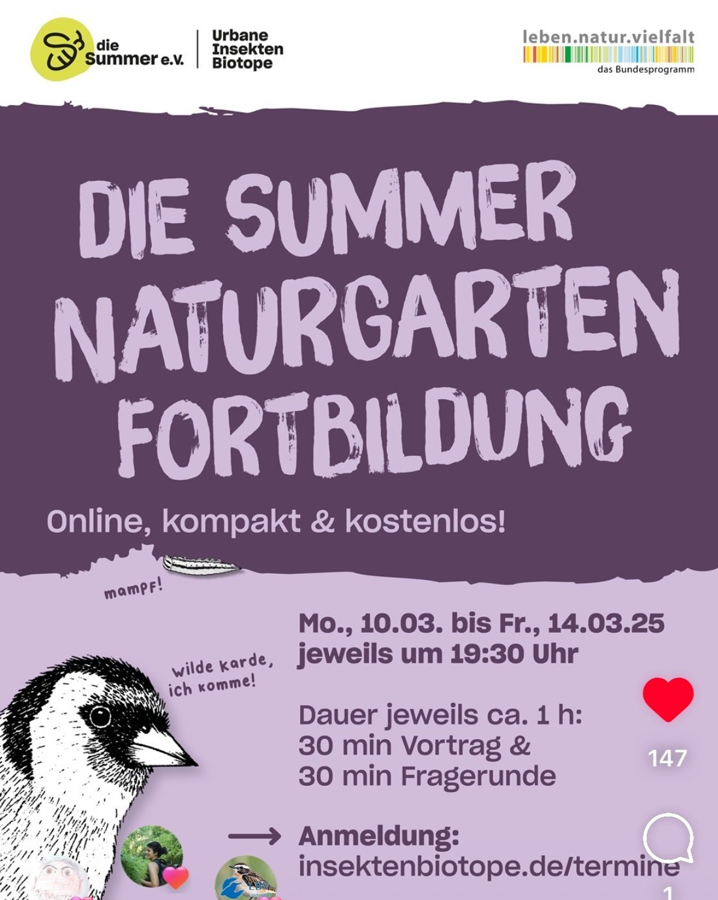 Das Bild ist eine Ankündigung für eine Online-Fortbildung zum Thema "Summer Naturgarten". Die Fortbildung wird von "die Summer e.V." und "Urbane Insekten Biotope" angeboten und ist Teil des Bundesprogramms "leben.natur.vielfalt". Sie ist online, kompakt und kostenlos.

Die Fortbildung findet vom 10. bis 14. März 2025 jeweils um 19:30 Uhr statt und dauert ca. 1 Stunde (30 Minuten Vortrag und 30 Minuten Fragerunde).

Ein stilisierter Distelfink ist abgebildet, der sagt: "Wilde Karde, ich komme!" und eine Raupe, die "Mampf!" von sich gibt.

Die Anmeldung erfolgt über die Webseite insektenbiotope.de/termine.

Text generiert by altbot