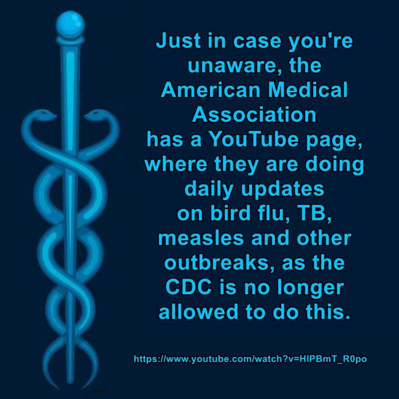 Just in case you're unaware, the American Medical Association has a YouTube page, where they are doing daily updates on bird flu, TB, measles and other outbreaks, as the CDC is no longer allowed to do this.

https://www.youtube.com/@americanmedicalassociation